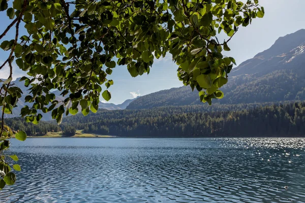 Cesta Švýcarska Létě — Stock fotografie