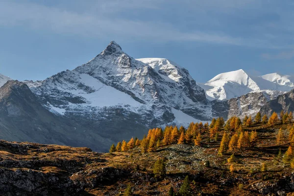 Yazın İsviçre dağlarına seyahat.