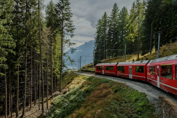 Podróż Alp Czerwonym Pociągiem Obrazek Stockowy