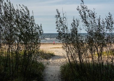 Jurmala 'daki Baltık deniz kıyısına giden tahta yol..
