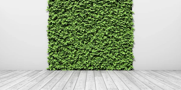 Πράσινος φρέσκος κατακόρυφος κήπος στον τοίχο — Φωτογραφία Αρχείου