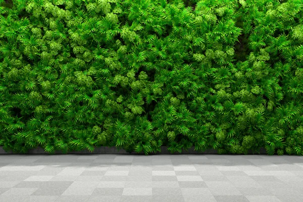 Vertical garden walls — Stock Photo, Image