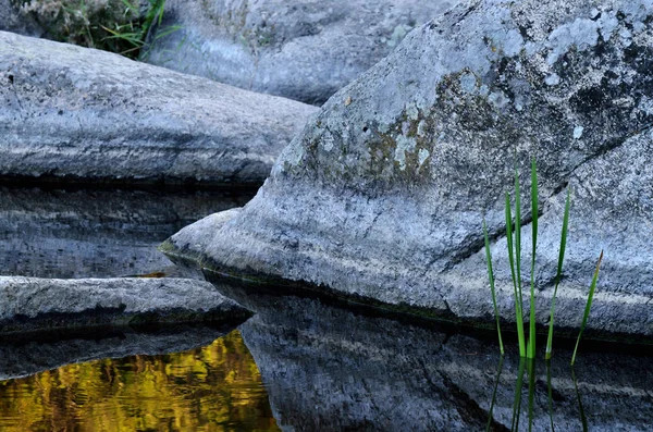 Piękne Kamienie Rośliny Dole Kanionu Aktovo Granit Devil Valley Naturalny — Zdjęcie stockowe