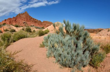 Ephedra bush, Kırgızistan, Issyk-Kul bölge ile masal Uçurumu'nun renkli taş