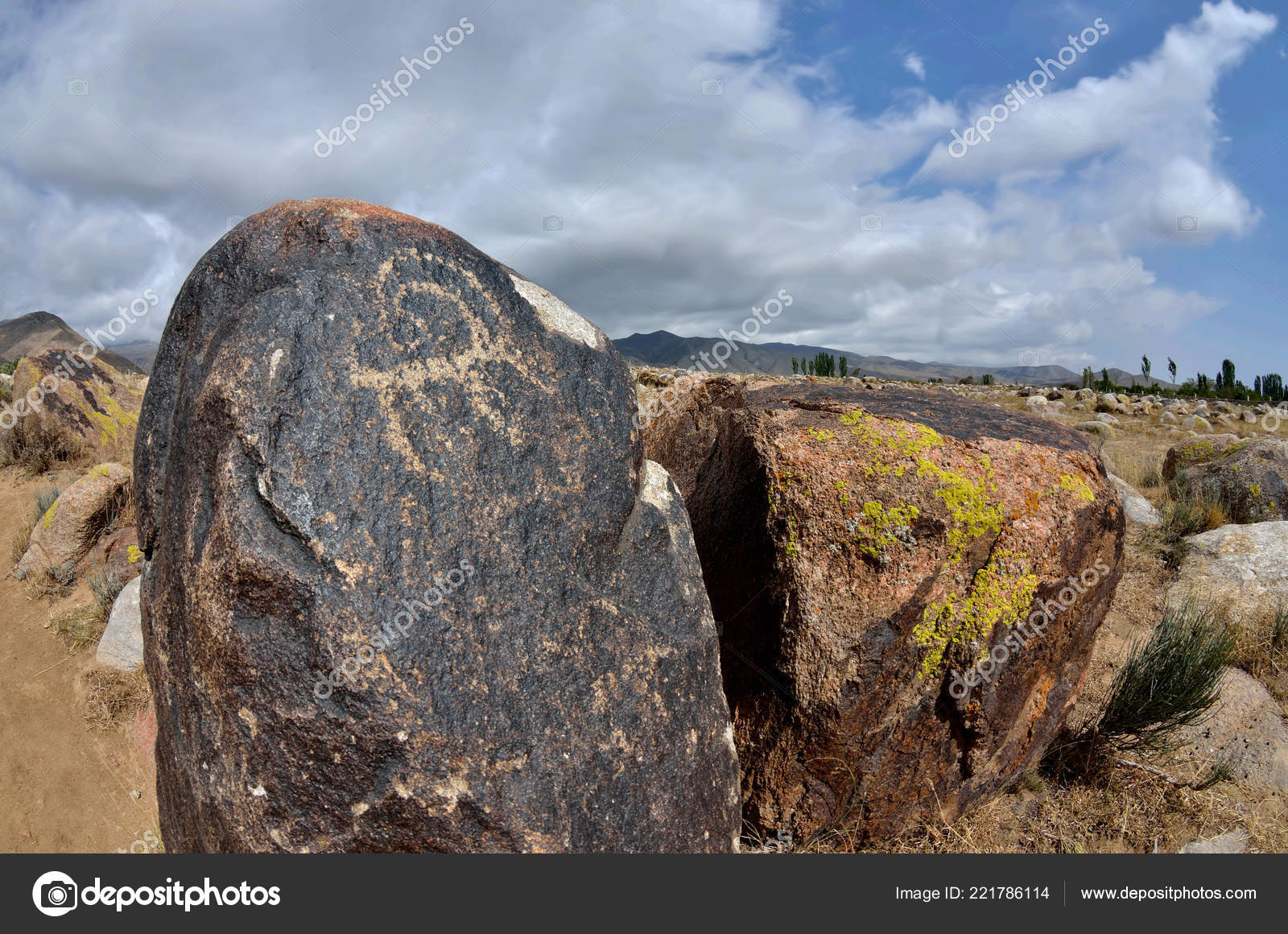 Apologise, asian mountain goat opinion Opinion asian mountain goat magnificent phrase