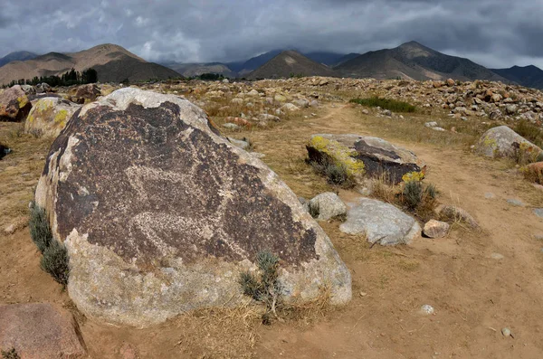 Késő Kőkorszaki Art Ősi Petroglyphs Ábrázoló Őzek Régészeti Lelőhely Közelében — Stock Fotó
