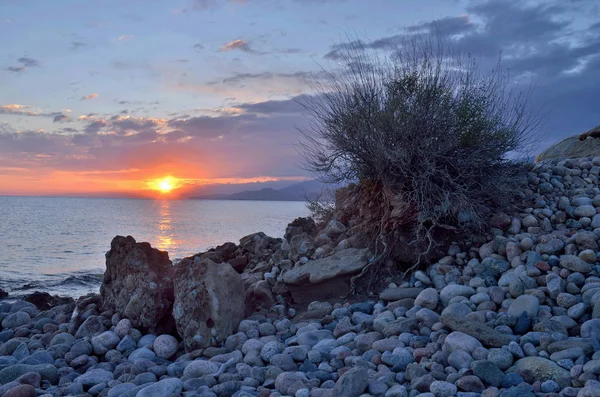 Sunrise Issyk Kul Warm Lake Shore Landscape Beautiful Stones Bush — Stock Photo, Image