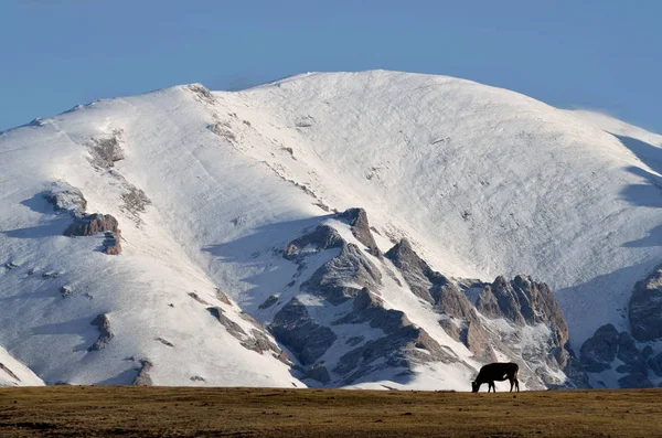 Picos Montaña Del Centro Tian Shan Cubiertos Nieve Cerca Del —  Fotos de Stock