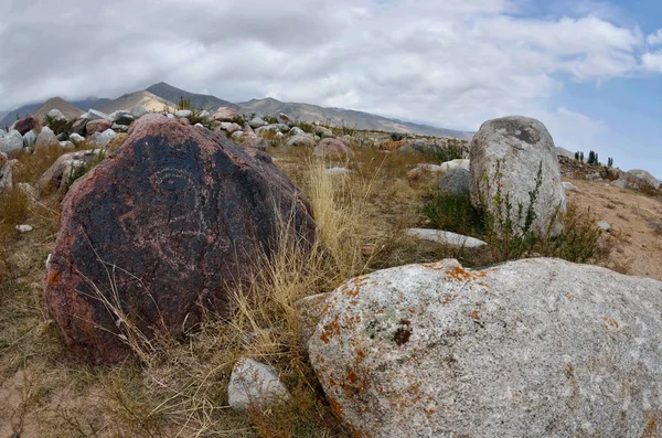 Piedra Con Petroglifo Tribal Neolítico Que Representa Cabra Montaña Cholpon —  Fotos de Stock