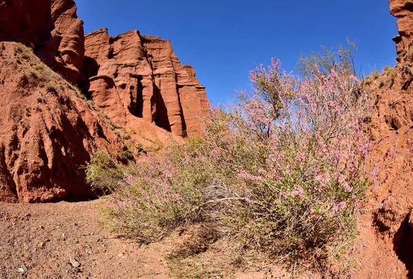 Kirgiski Grand Canyon Słynny Pomnik Przyrody Czerwonego Piaskowca Skały Wąwozu — Zdjęcie stockowe