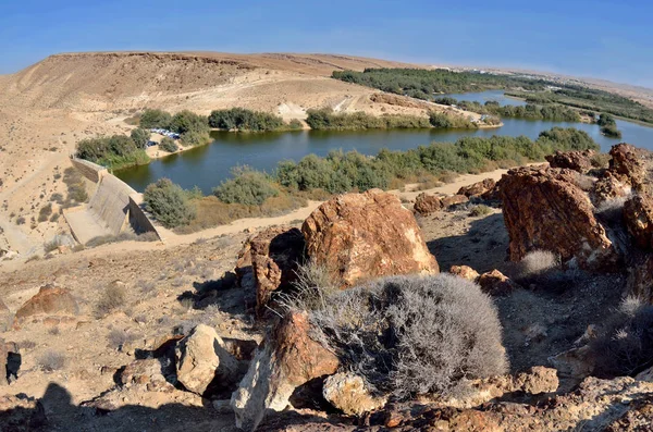 Tel Yeruham Dam Reservoir Omringd Door Een Park Met Picknick Stockfoto