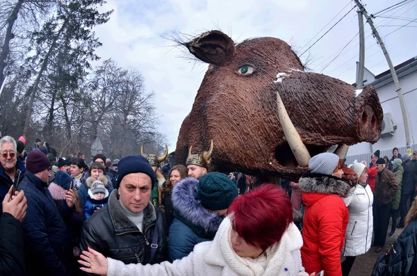 Vashkivtsi Bukavina 乌克兰 2019年1月14日 在传统的 Pereberia 即换衣服 狂欢节上 人们身着巨大的野猪雕像 象征年 — 图库照片