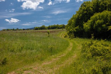 Yaz alan yol ve mavi gökyüzünde bulutlar. Güzel yaz alan güneşli gün