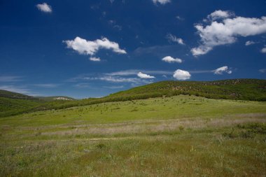 Yaz alan yol ve mavi gökyüzünde bulutlar. Güzel yaz alan güneşli gün