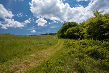 Yaz alan yol ve mavi gökyüzünde bulutlar. Güzel yaz alan güneşli gün