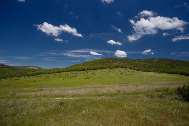 Yaz alan yol ve mavi gökyüzünde bulutlar. Güzel yaz alan güneşli gün