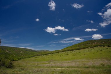 Yaz alan yol ve mavi gökyüzünde bulutlar. Güzel yaz alan güneşli gün