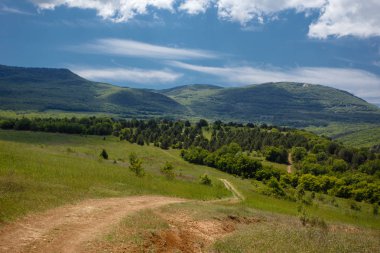 Yaz alan yol ve mavi gökyüzünde bulutlar. Güzel yaz alan güneşli gün