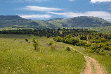 Yaz alan yol ve mavi gökyüzünde bulutlar. Güzel yaz alan güneşli gün