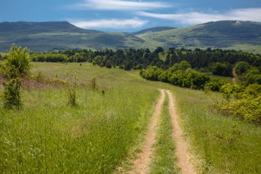 Yaz alan yol ve mavi gökyüzünde bulutlar. Güzel yaz alan güneşli gün