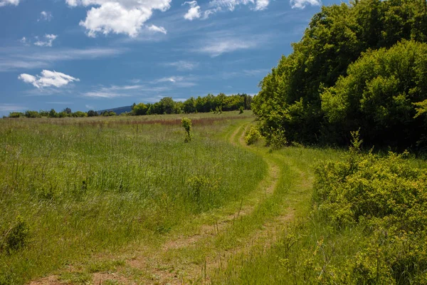 Yaz alan yol ve mavi gökyüzünde bulutlar. Güzel yaz alan güneşli gün