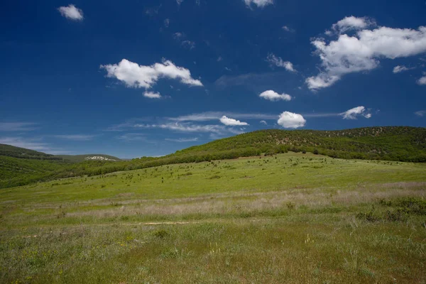 Yaz alan yol ve mavi gökyüzünde bulutlar. Güzel yaz alan güneşli gün