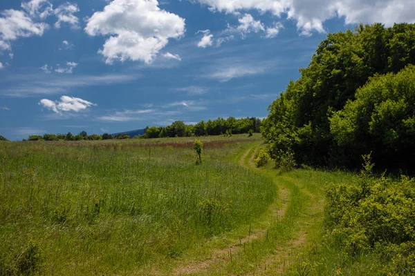 Yaz alan yol ve mavi gökyüzünde bulutlar. Güzel yaz alan güneşli gün