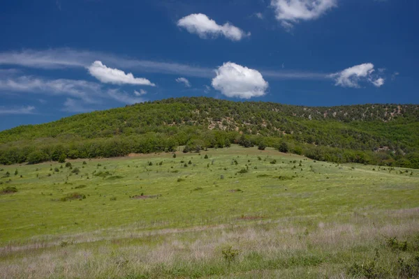 Yaz alan yol ve mavi gökyüzünde bulutlar. Güzel yaz alan güneşli gün