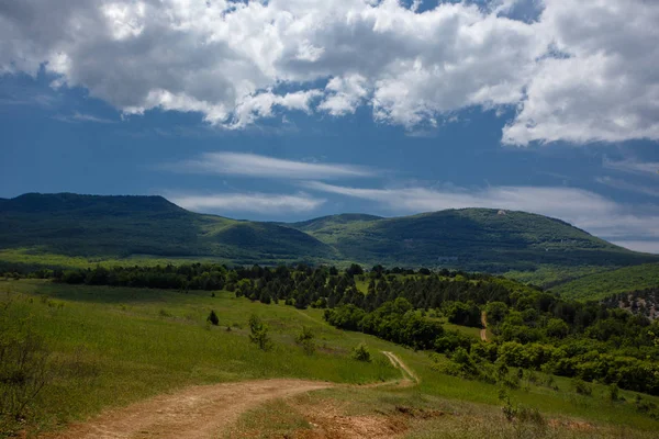 Yaz alan yol ve mavi gökyüzünde bulutlar. Güzel yaz alan güneşli gün