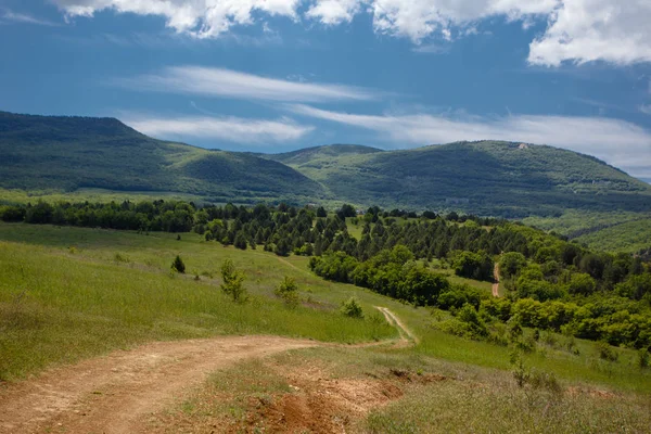 Yaz alan yol ve mavi gökyüzünde bulutlar. Güzel yaz alan güneşli gün