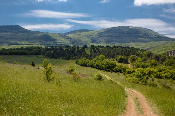 Yaz alan yol ve mavi gökyüzünde bulutlar. Güzel yaz alan güneşli gün