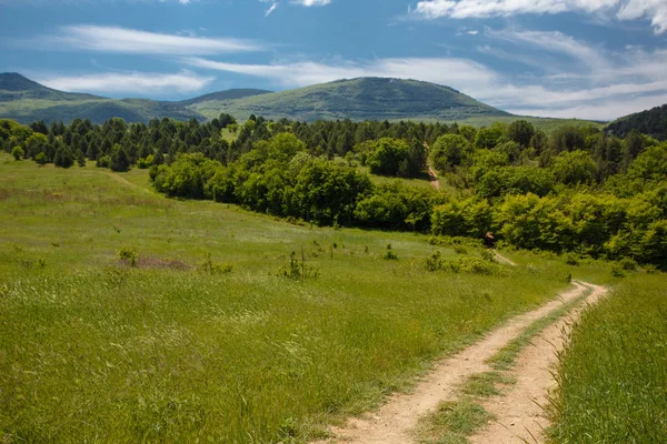 Yaz alan yol ve mavi gökyüzünde bulutlar. Güzel yaz alan güneşli gün