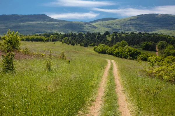 Yaz alan yol ve mavi gökyüzünde bulutlar. Güzel yaz alan güneşli gün
