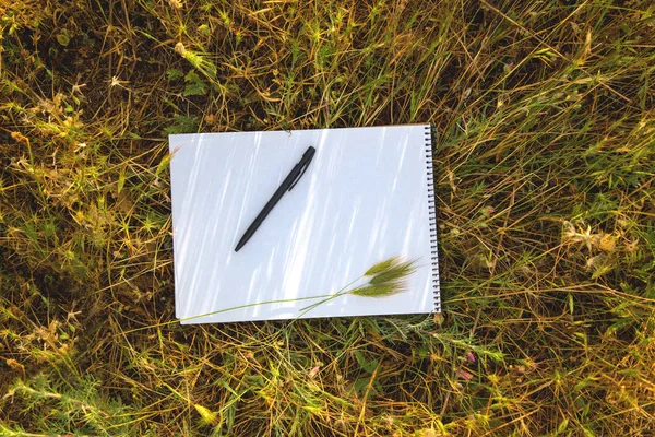 Cuaderno Notas Sobre Hierba Verde Primavera Fresca Campo — Foto de Stock