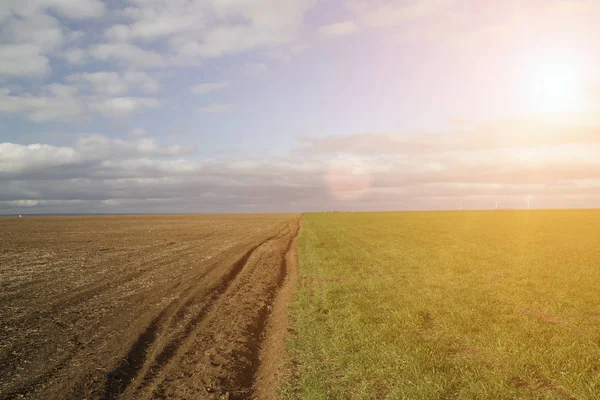 arable land. Landscape of plowed land and green grass in a cloudy day.