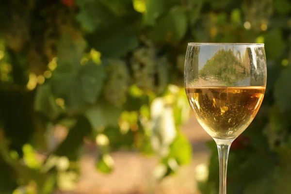 Copa Con Vino Blanco Viñedo Sobre Mesa Vieja Viñedo Atardecer —  Fotos de Stock