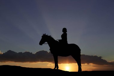 Silhouette bir at ve güzel bir gün batımı zemin karşı kızı