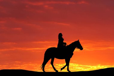 Silhouette bir at ve güzel bir gün batımı zemin karşı kızı