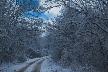 Yüksek dağlar kışın kar altında. Bir dizi fotoğraf Kafkasya dağlarının Kayak Merkezi Dombay, Karaçay-Çerkez Cumhuriyeti