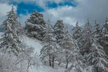 Yüksek dağlar kışın kar altında. Bir dizi fotoğraf Kafkasya dağlarının Kayak Merkezi Dombay, Karaçay-Çerkez Cumhuriyeti