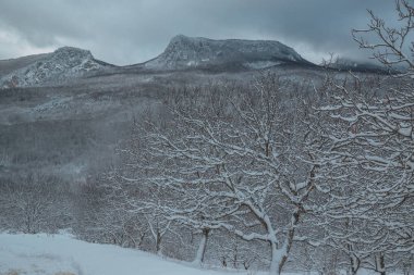 Yüksek dağlar kışın kar altında. Bir dizi fotoğraf Kafkasya dağlarının Kayak Merkezi Dombay, Karaçay-Çerkez Cumhuriyeti