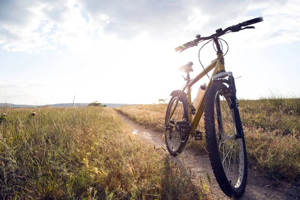 Silhouet Mountainbiken Bij Zonsondergang — Stockfoto