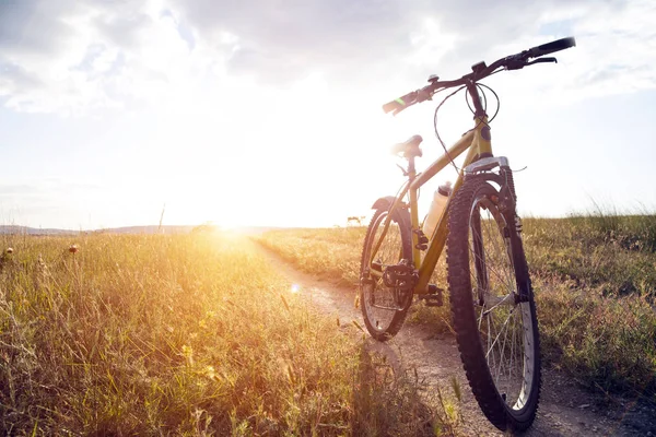 Silhueta Montanha Bicicleta Pôr Sol — Fotografia de Stock