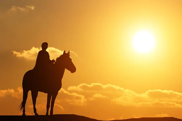 Silhouette Man Horseback Beautiful Sunset — Stock Photo, Image