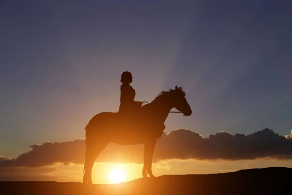 Silhouette Eines Pferdes Und Des Mädchens Vor Dem Hintergrund Eines — Stockfoto