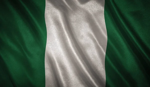 Vlag Met Oorspronkelijke Verhoudingen Vlag Van Nigeria — Stockfoto