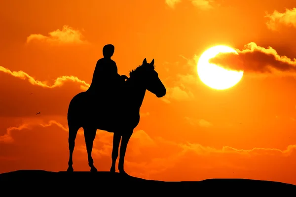 Silhouette Woman Horse Running Horizon Sun Goes — Stock Photo, Image