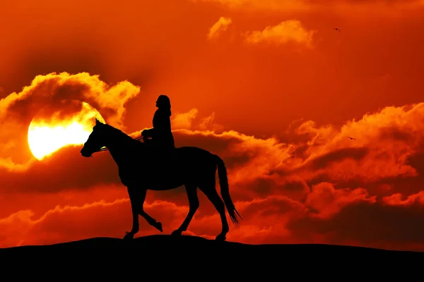 Silhouette Woman Horse Running Horizon Sun Goes — Stock Photo, Image