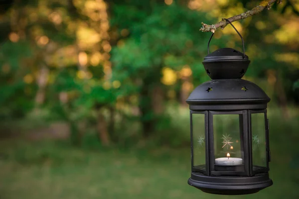 Lanterna Con Una Candela Nella Foresta Estiva — Foto Stock