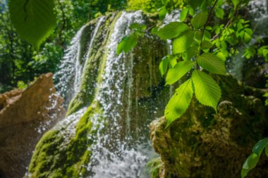 Taze yeşil orman şelale. Kırım'da, gümüş dere
